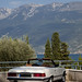 Michele Benz Photo 8