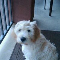Beth Bateman Photo 29