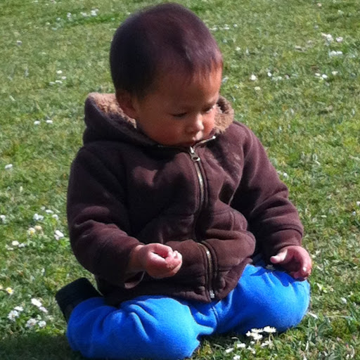 Mei Yang Photo 3