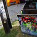 Lee Ellis Photo 21