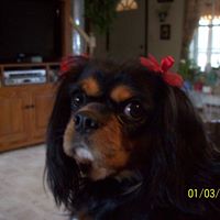 Nancy Rhoades Photo 12