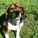 Jennifer Beagle Photo 16