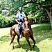 Thomas Gordon Photo 35