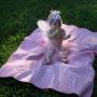 Lisa Crabtree Photo 31