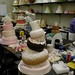 Shelley Crooks Photo 10