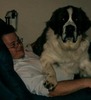 Steve Lawrence Photo 31