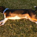 Kathy Rowland Photo 38
