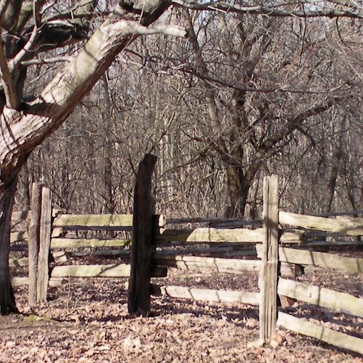 James Mead Photo 25