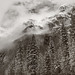 Harold Winters Photo 7