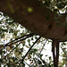 Kathryn Root Photo 25