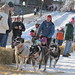 Jonathan Schechter Photo 27