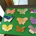 David Raynor Photo 10