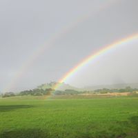 Joanne Randall Photo 34