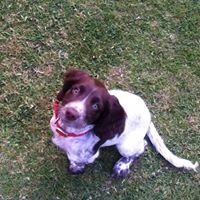 Natasha Ross Photo 28