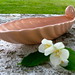 Coral Ware Photo 4