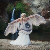 Christine Greaves Photo 25