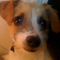 Sharon Rausch Photo 6