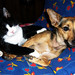 Shelly White Photo 8