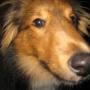 Brian Simonsen Photo 11
