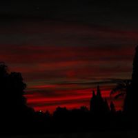 Richard Mast Photo 31