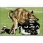 Debra Slack Photo 15