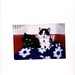Jill Nott Photo 11