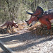Rex Mckinney Photo 10