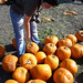 Stacey Hunt Photo 10