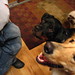 Larry Duke Photo 12