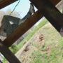Jason Shelton Photo 14