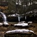Terence Peck Photo 21