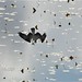 Larry Halverson Photo 14