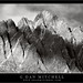 Mitchell White Photo 19