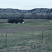 Joseph Nezperce Photo 6