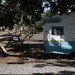 John Olivo Photo 38