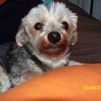 Cindy Schultz Photo 32