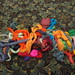 Judith Mckenzie Photo 14