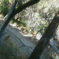 Veronica Chairez Photo 16