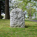 Martha Webster Photo 13