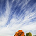 Matt Graver Photo 26