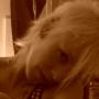 Andrea Koch Photo 11