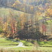 Sandra Schwartz Photo 38
