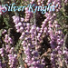 Heather Knight Photo 39