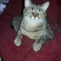 Teresa Harmon Photo 25