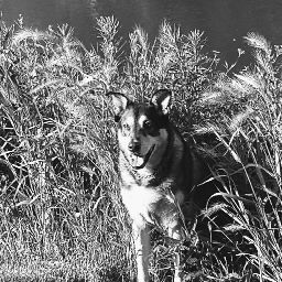 Amy Rule Photo 9