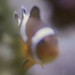 Steve Little Photo 47