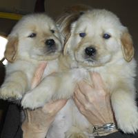 Nancy Lindberg Photo 31