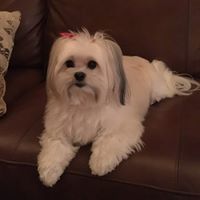 Judy Underwood Photo 41