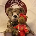 Ted Bear Photo 34
