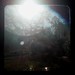 Robin Hodgson Photo 15